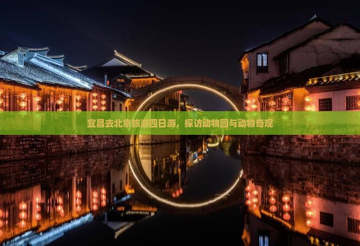 宜昌去北京动物园四日游