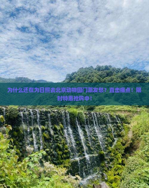 日照去北京动物园门票