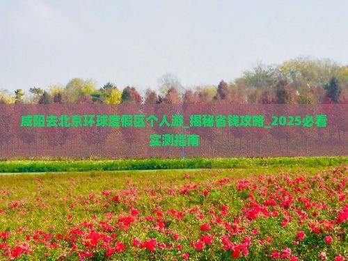 咸阳去北京环球度假区个人游