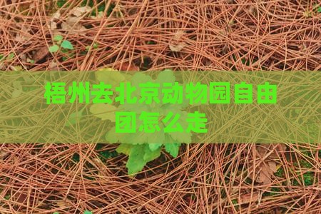 梧州去北京动物园自由团