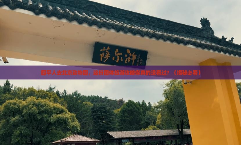 四平去北京动物园团体旅游