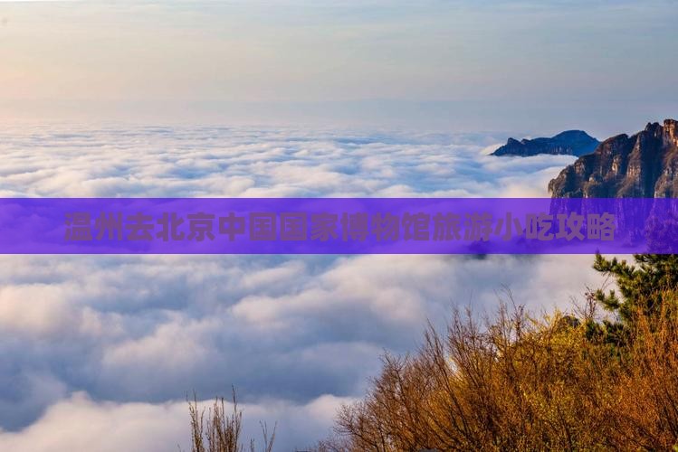 温州去北京中国国家博物馆旅游小吃