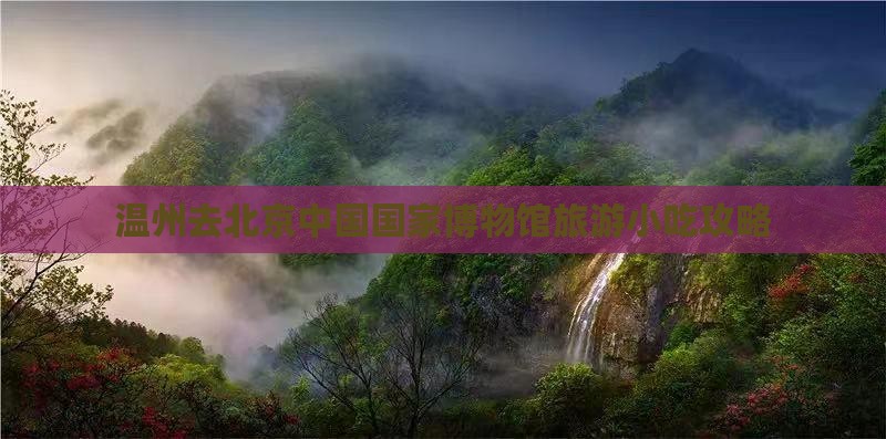 温州去北京中国国家博物馆旅游小吃