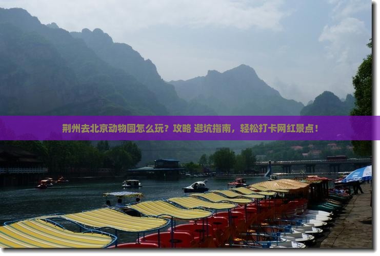 荆州去北京动物园哪里玩