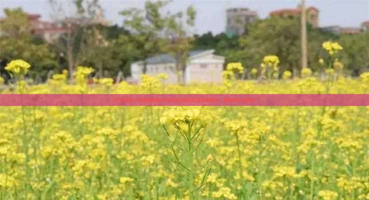海南去北京天坛公园四日游