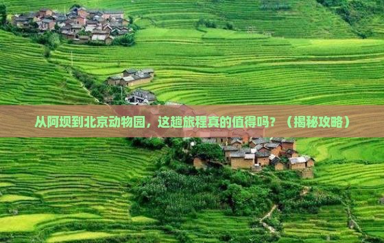 阿坝到北京动物园必去地