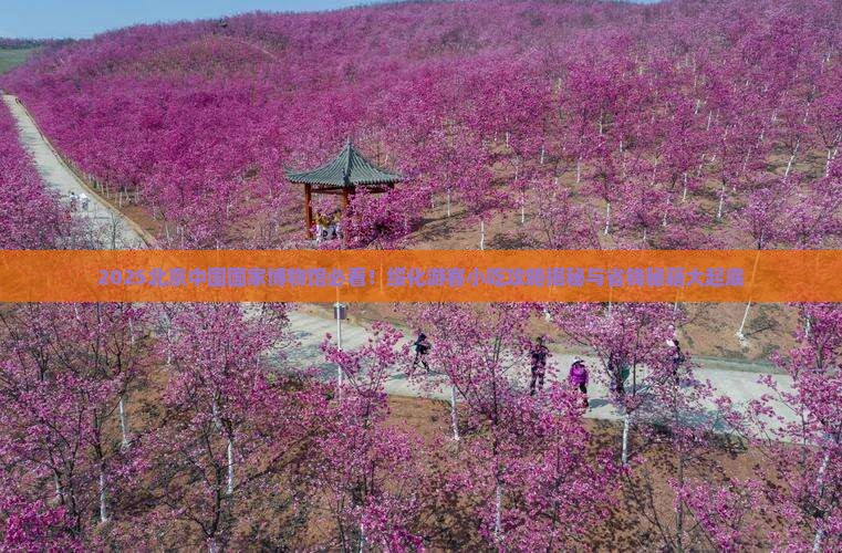 绥化去北京中国国家博物馆旅游小吃