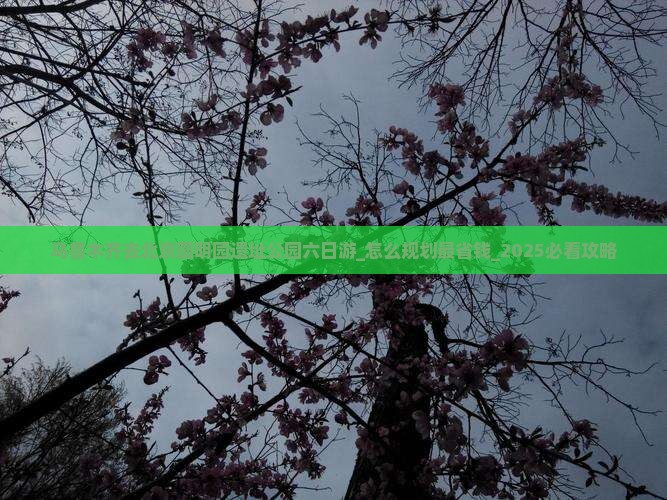 乌鲁木齐去北京圆明园遗址公园六日游