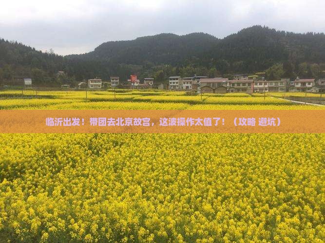 临沂去北京故宫博物院团体旅游 临沂去北京故宫博物院团体旅游