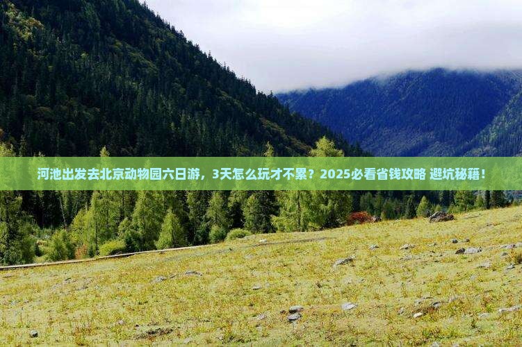 河池到北京动物园六日游