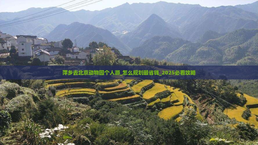 萍乡去北京动物园个人游 萍乡去北京动物园个人游