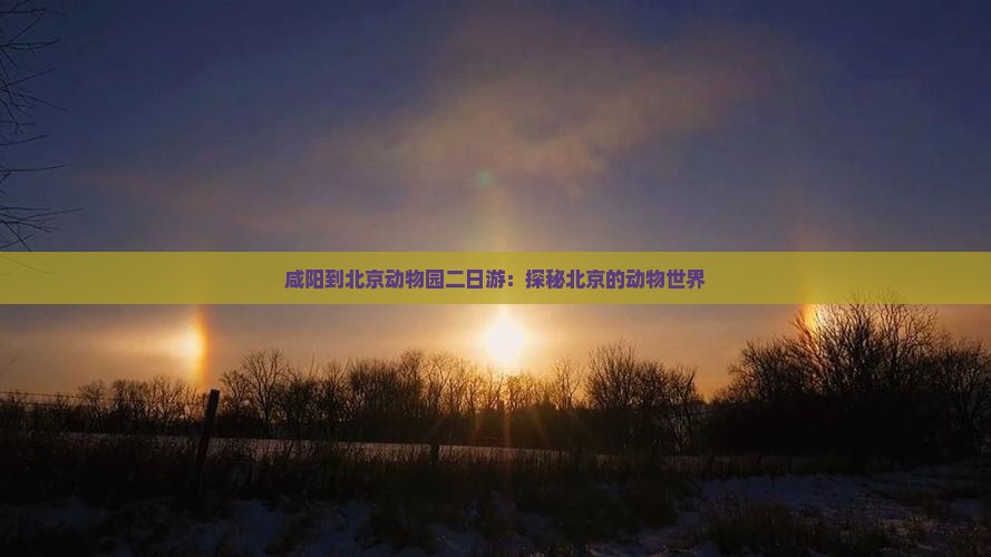 咸阳到北京动物园二日游