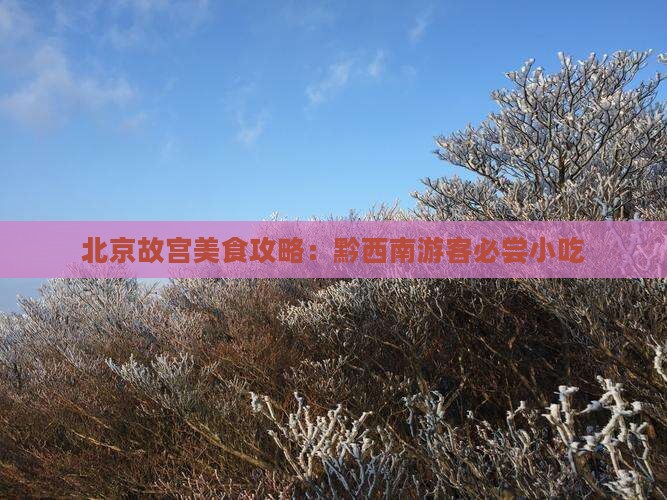 黔西南去北京故宫博物院旅游小吃