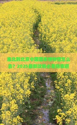 淮北到北京中国国家博物馆攻略