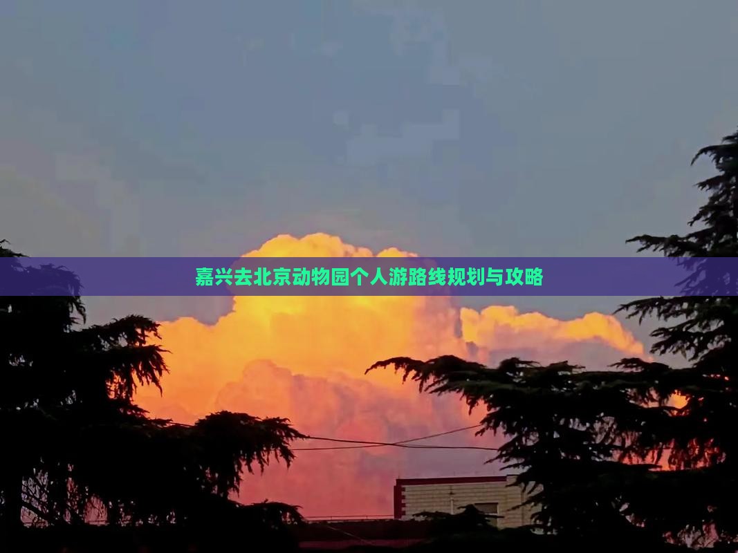 嘉兴去北京动物园个人游