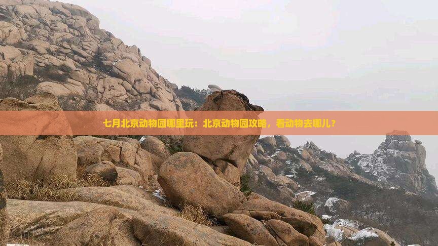 七月到北京动物园哪里玩