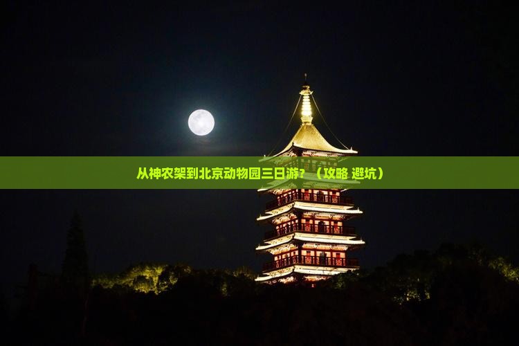 神农架到北京动物园三日游