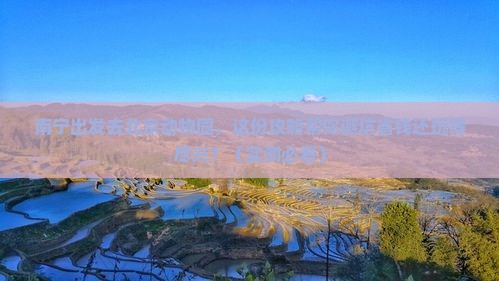 南宁去北京动物园旅行社