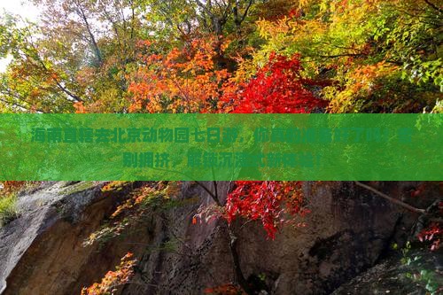 海南省直辖去北京动物园七日游