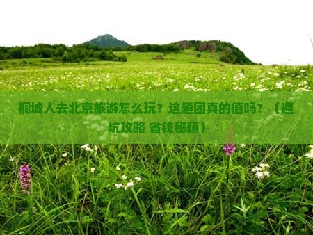 桐城去北京大型旅游团