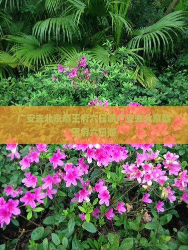 广安去北京恭王府六日游