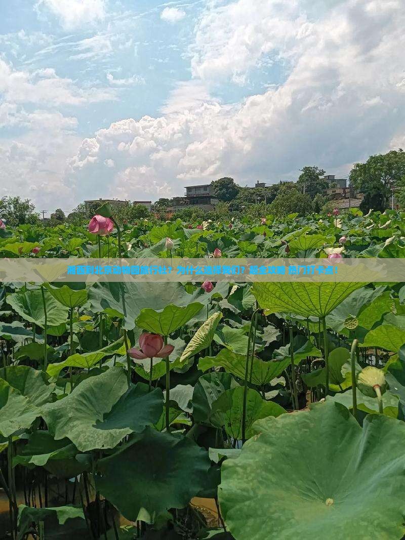 湘西到北京动物园旅行社