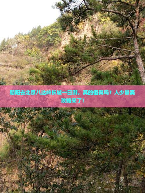 朝阳去北京八达岭长城一日游