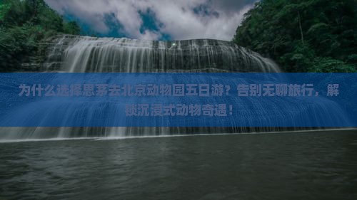 思茅去北京动物园五日游