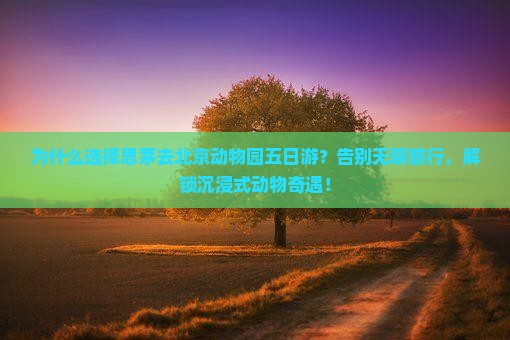 思茅去北京动物园五日游