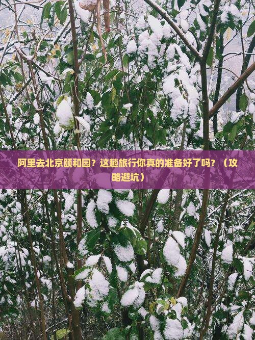 阿里到北京颐和园旅行社