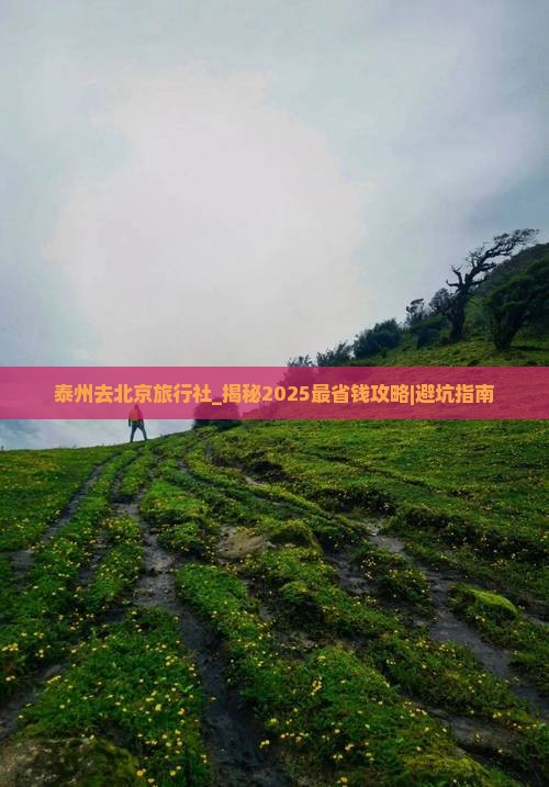 泰州去北京旅行社