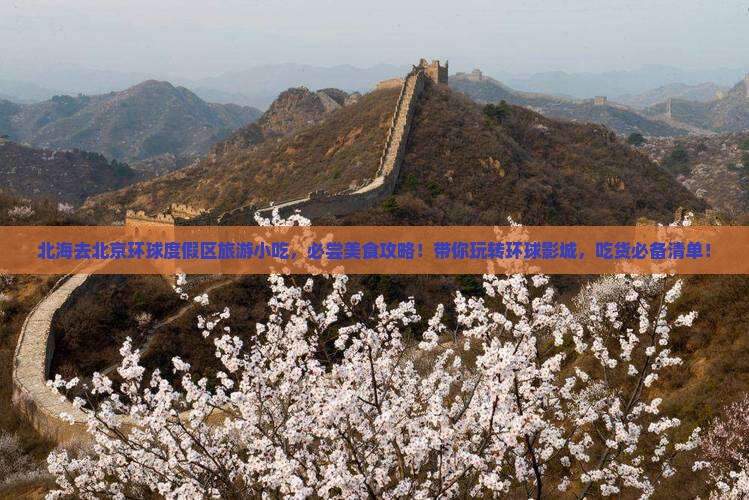 北海去北京环球度假区旅游小吃