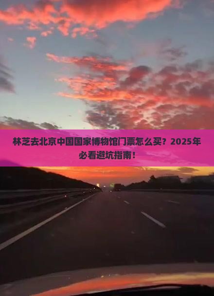 林芝去北京中国国家博物馆门票