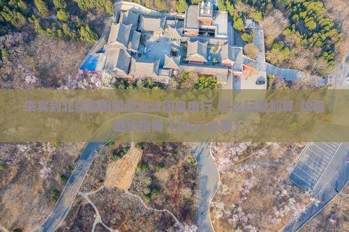 来宾到北京圆明园遗址公园自由行
