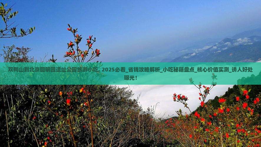 双鸭山到北京圆明园遗址公园旅游小吃
