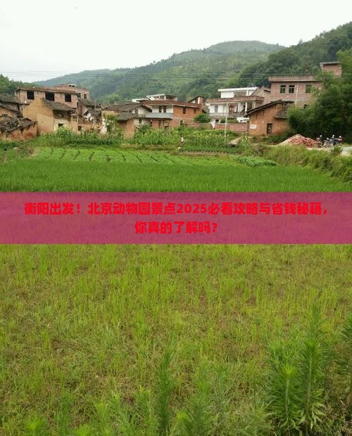 衡阳到北京动物园景点 衡阳到北京动物园景点