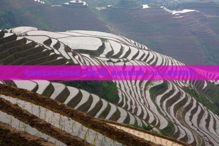和县到北京环球度假区大型旅游团