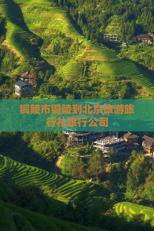 铜陵到北京旅行社