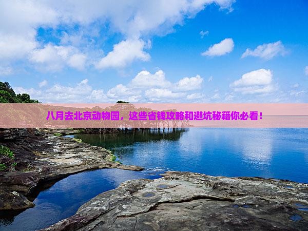八月去北京动物园旅行社