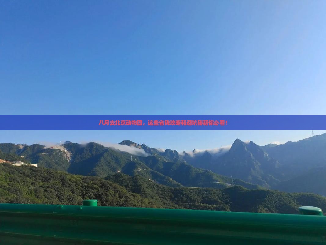 八月去北京动物园旅行社