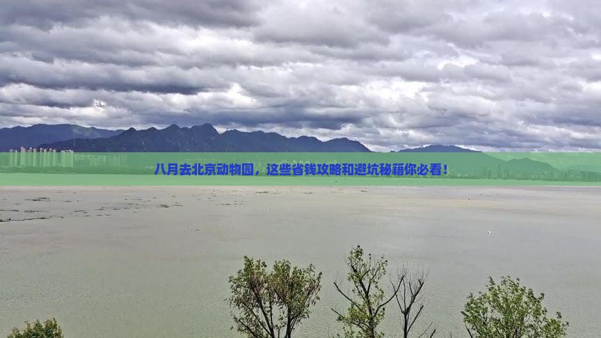 八月去北京动物园旅行社