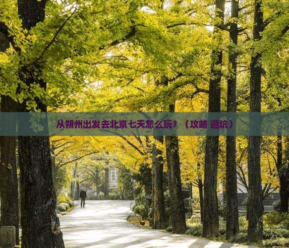 朔州去北京七日游