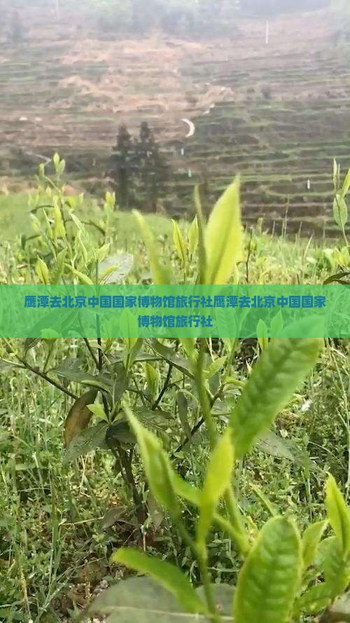 鹰潭去北京中国国家博物馆旅行社