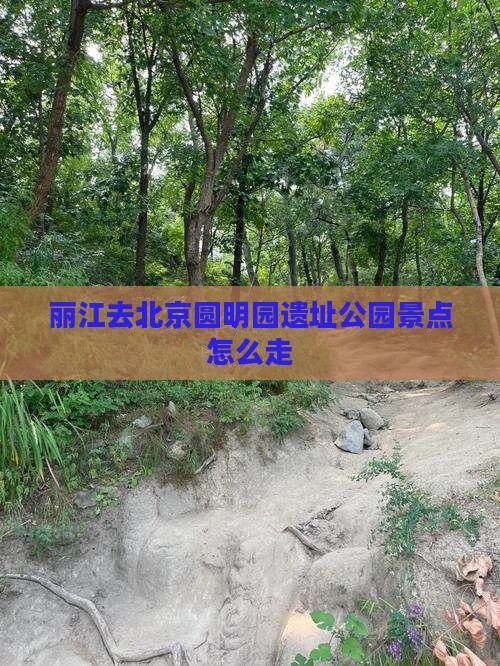 丽江去北京圆明园遗址公园景点 丽江去北京圆明园遗址公园景点