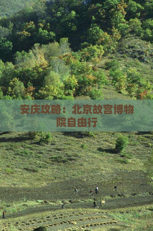安庆去北京故宫博物院自由行