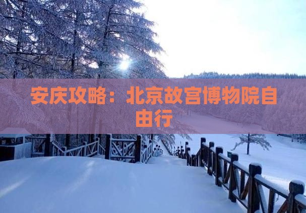 安庆去北京故宫博物院自由行