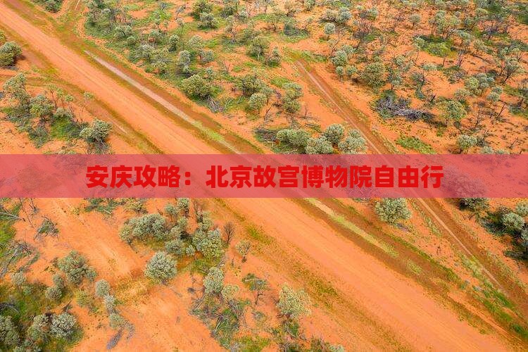 安庆去北京故宫博物院自由行