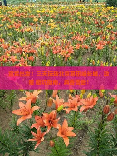 宜宾到北京慕田峪长城三日游