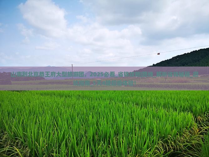 山南到北京恭王府大型旅游团