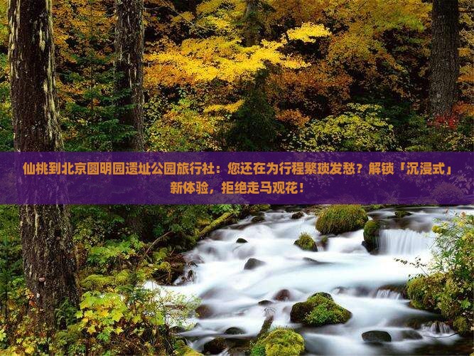 仙桃到北京圆明园遗址公园旅行社